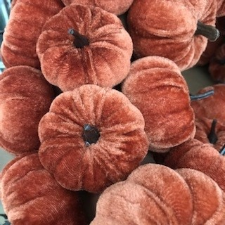 Halloween decorations