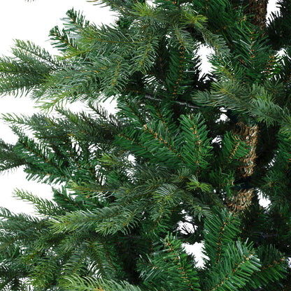 Kaemingk Grandis Fir Christmas Tree 6ft/180cm