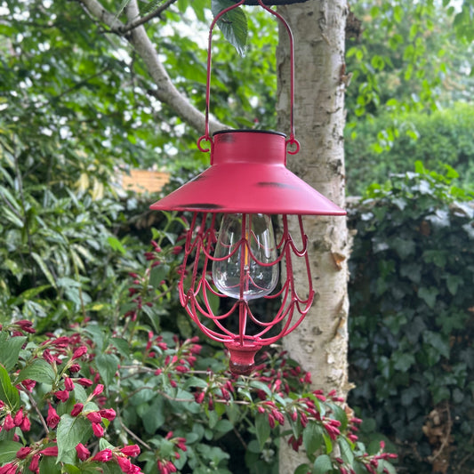 Coral Pink Solar Metal Hanging Lantern