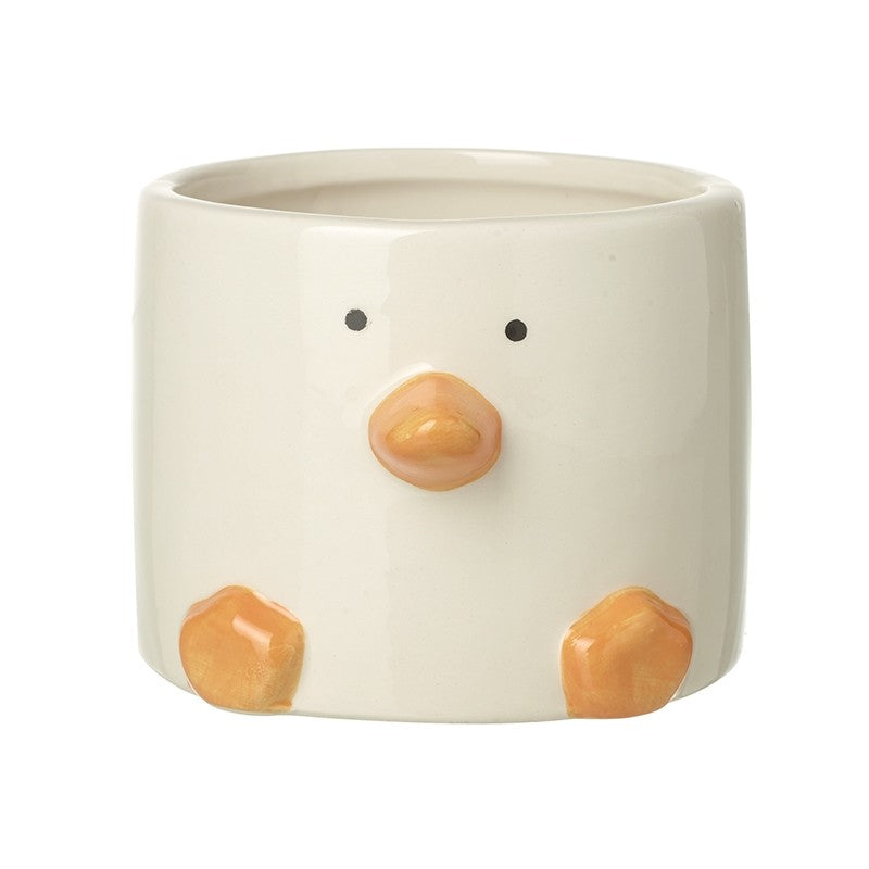 Duck Plant Pot