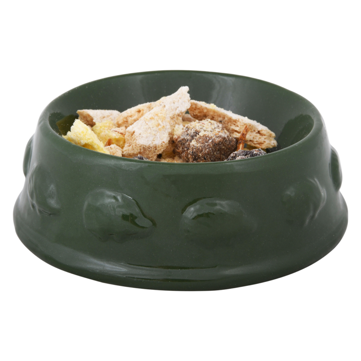 Hedgehog Feeding Bowl