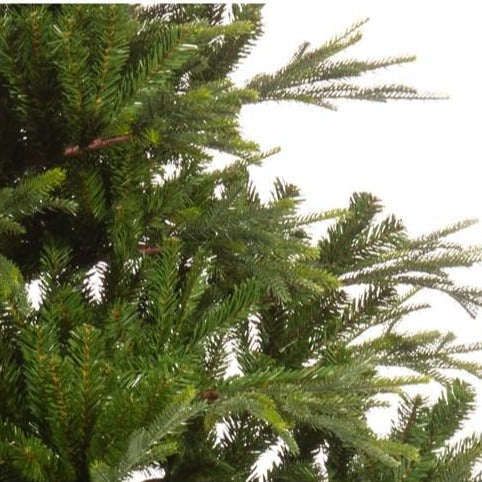 Kaemingk Everlands Serbian Spruce 6ft Christmas Tree