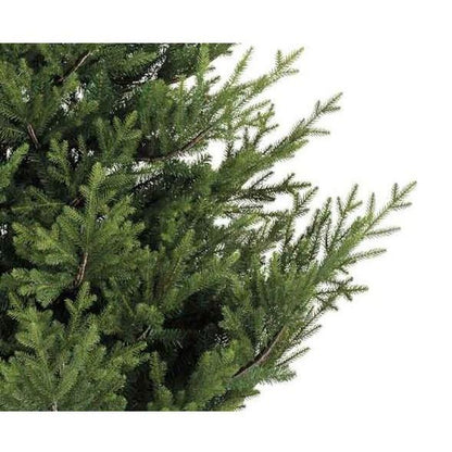 Kaemingk Norway Spruce 180cm/6ft Christmas Tree