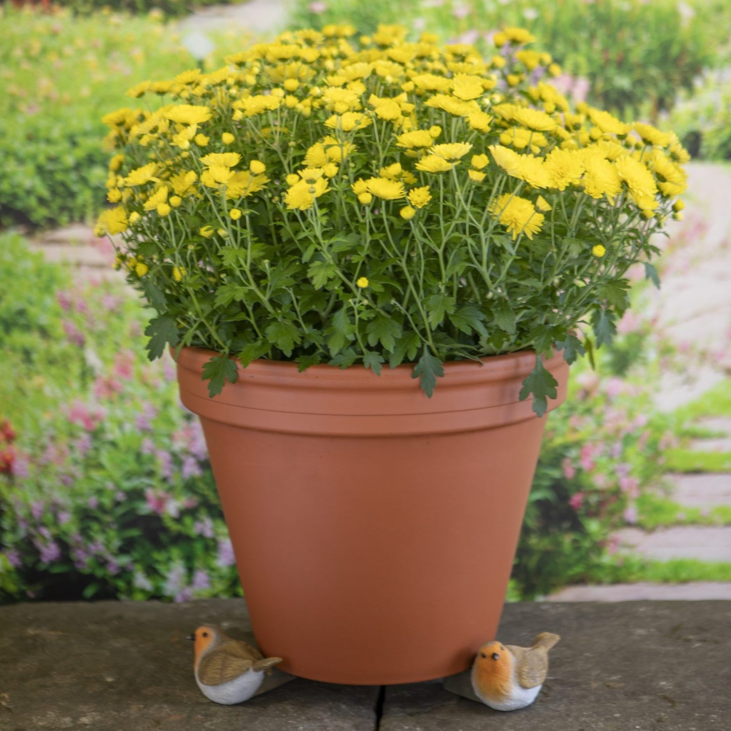 Set of 3 Robin Plant Pot Stands