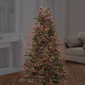 Premier TreeBrights 750 Rainbow LED Christmas String Lights
