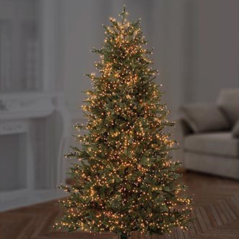 Premier TreeBrights 750 Vintage Gold LED Christmas String Lights