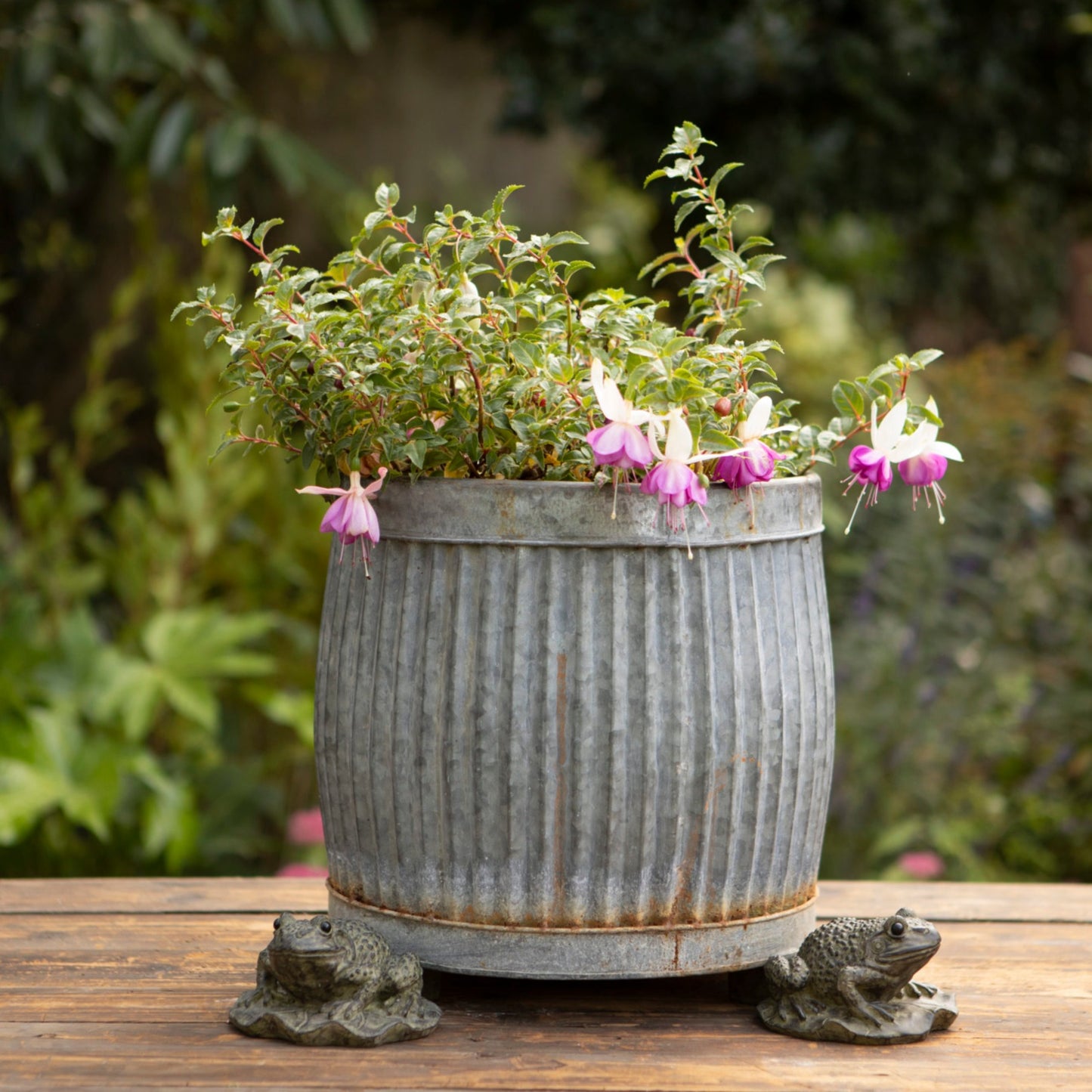Set of 3 Frog Plant Pot Stands