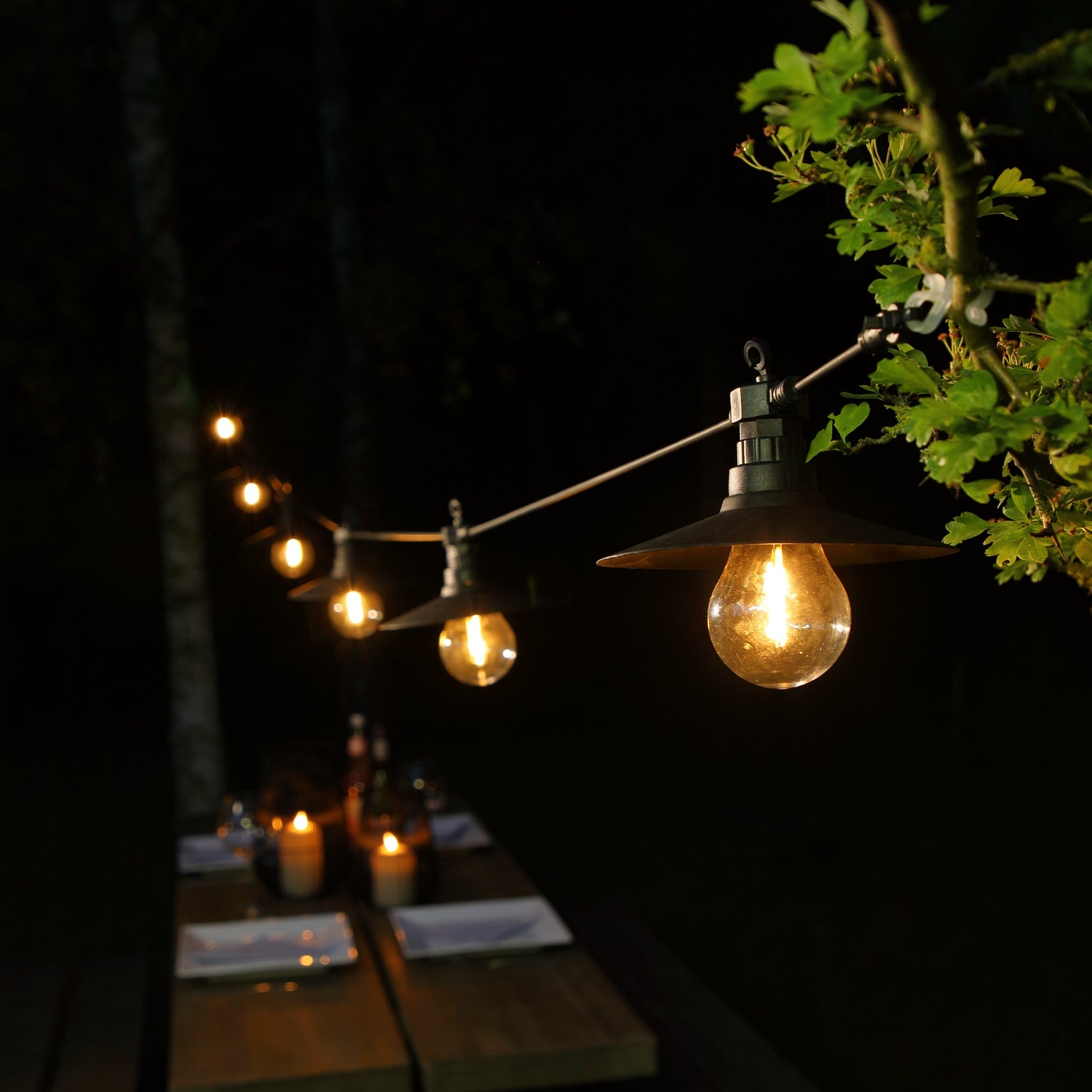 Festoon & Party Lighting