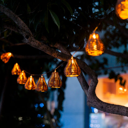 String lights hanging from a tree branch at night