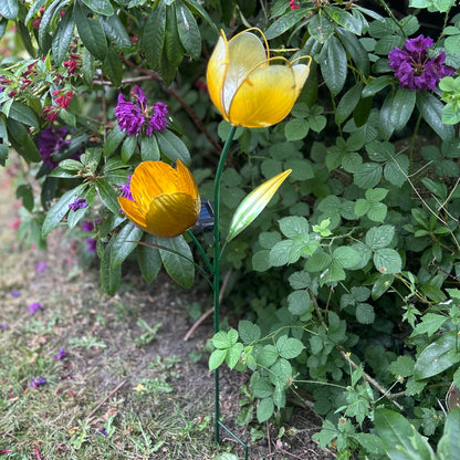 Tulip Solar Stake Lights