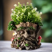 Enchanted Tree Planter