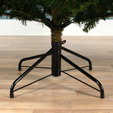 Load image into Gallery viewer, Kaemingk Grandis Fir Christmas Tree 6ft/180cm

