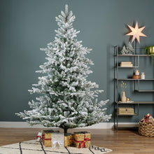Load image into Gallery viewer, Kaemingk Snowy Grandis Fir Christmas Tree 6ft/180cm
