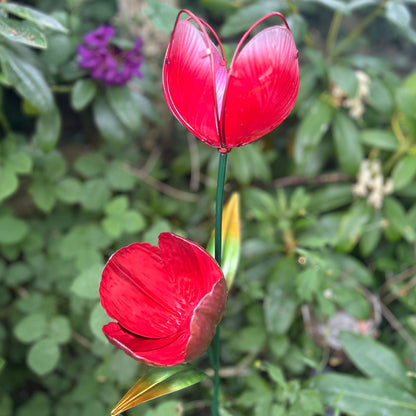 Tulip Solar Stake Lights
