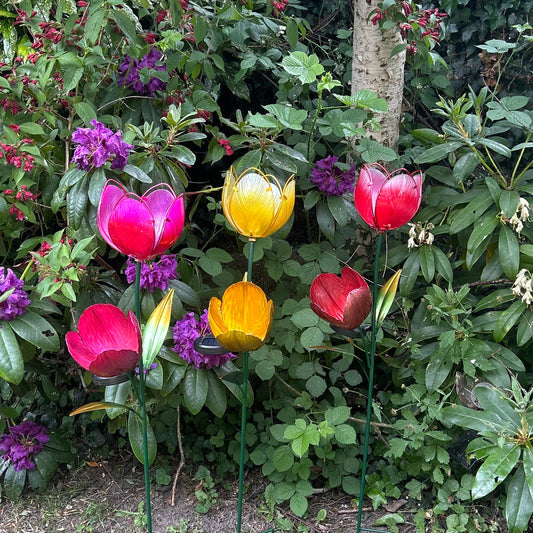 Tulip Solar Stake Lights
