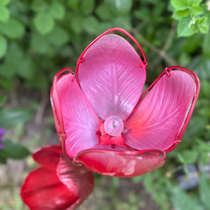 Tulip Solar Stake Lights