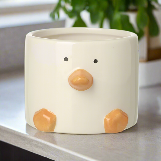 Duck Plant Pot
