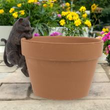 Load image into Gallery viewer, Cat Pot Hanger
