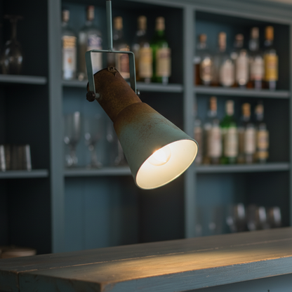 Rustic Hanging Spotlight with Hook