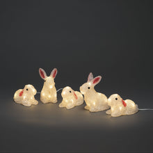 Load image into Gallery viewer, Acrylic Lit LED Warm White Rabbit Set
