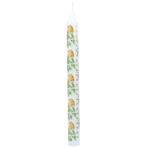Robin and Holly Design Advent Candle