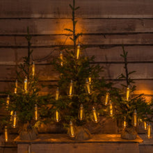 Load image into Gallery viewer, Noma 30 Vintage Valve Edison Style Bulb String Lights
