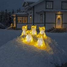 Load image into Gallery viewer, Konstsmide 5 Piece Acrylic Foxes LED Light Set
