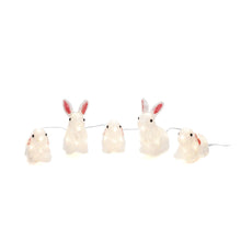 Load image into Gallery viewer, Acrylic Lit LED Warm White Rabbit Set
