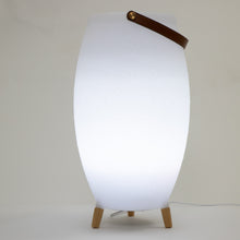 Load image into Gallery viewer, Noma Colour Changing Wine Cooler with Bluetooth Speaker
