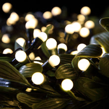 Load image into Gallery viewer, Noma 100 Warm White LED Berry Lights Battery Operated
