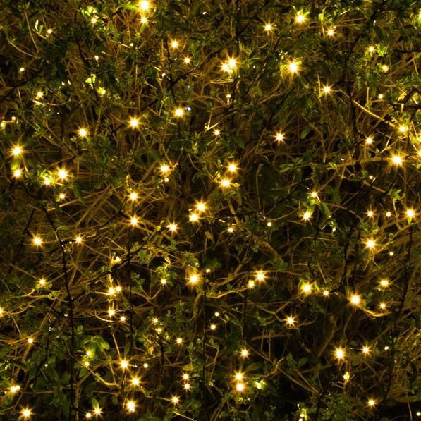 Noma 50 Solar Warm White LED Multi Function String Lights – Starlolly