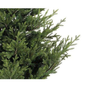 Kaemingk Norway Spruce 180cm/6ft Christmas Tree