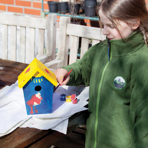 DIY Bird Nesting Box with Paint