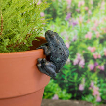 Load image into Gallery viewer, Frog Pot Hanger
