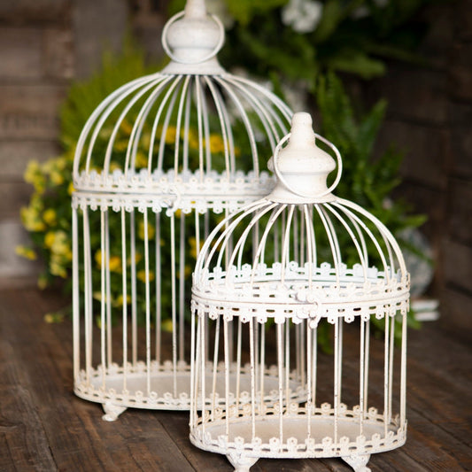 Set of 2 Oval Vintage Style Birdcage Planters