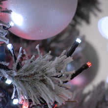 Load image into Gallery viewer, Festive 1000 Candy Cane Red &amp; White Firefly Lights
