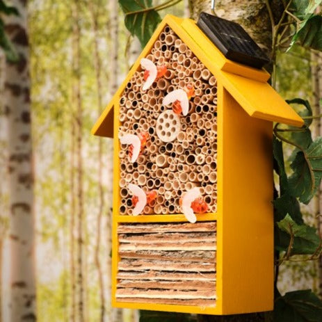 Solar Insect House with LED Bee Lights