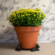 Load image into Gallery viewer, Set of 3 Scottie Dog Plant Pot Stands
