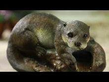 Load and play video in Gallery viewer, Kelkay Otter Pools Water Feature
